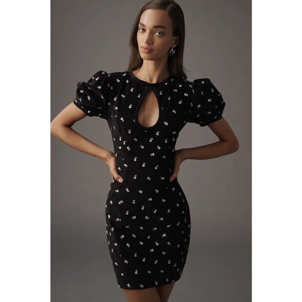 Anthropologie Maeve Puff-Sleeve Keyhole Embroidered Mini Dress $178 Sz 2